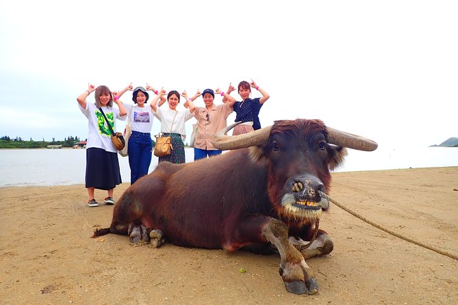 [Iriomote] SUP/Canoe Tour: Sightseeing on Yubujima Island - What to Expect on the Tour