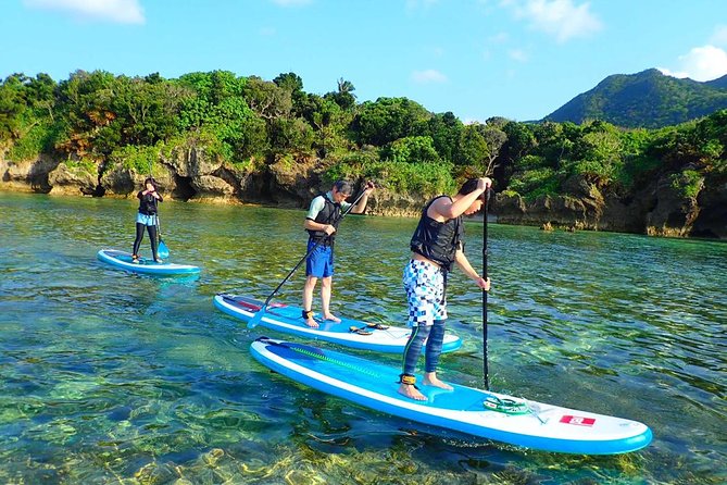 [Ishigaki] Kabira Bay SUP/Canoe Tour - Reviews From Past Travelers