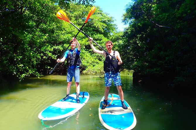 [Ishigaki] Mangrove Stand-Up Paddleboard/Canoe Blue Cave Snorkeling - Reviews and Ratings Overview