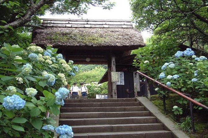 Kamakura 8 Hr Private Walking Tour With Licensed Guide From Tokyo - What to Expect on Your Tour