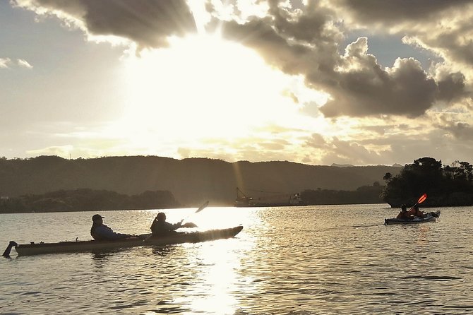 Kayak Mangroves or Coral Reef: Private Tour in North Okinawa - Reviews From Past Guests