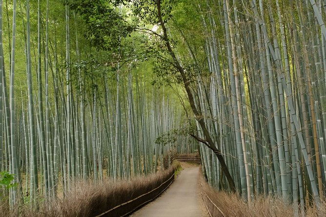 Kyoto Bamboo Forest Electric Bike Tour - Scenic Bike Ride Experiences