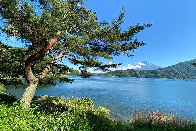 Lake Kawaguchiko Bike Tour - Bike Tour Logistics Essentials