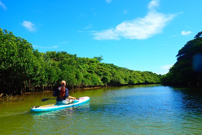 Miyara River 90-Minute Small-Group SUP or Canoe Tour  - Ishigaki - Important Safety Information