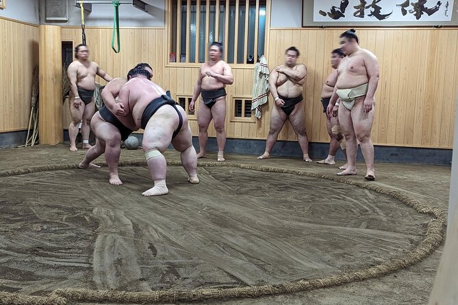 Morning Sumo Practice Viewing in Tokyo - What to Expect on Tour