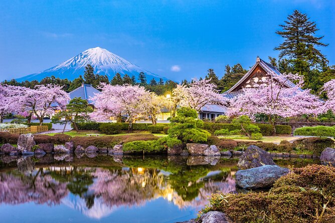 Mount Fuji Area Private Muslim–Friendly Tour From Tokyo - Reviews and Ratings Summary