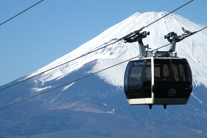 Mt. Fuji 5th Station and Hakone Day Tour From Tokyo - Important Tour Information