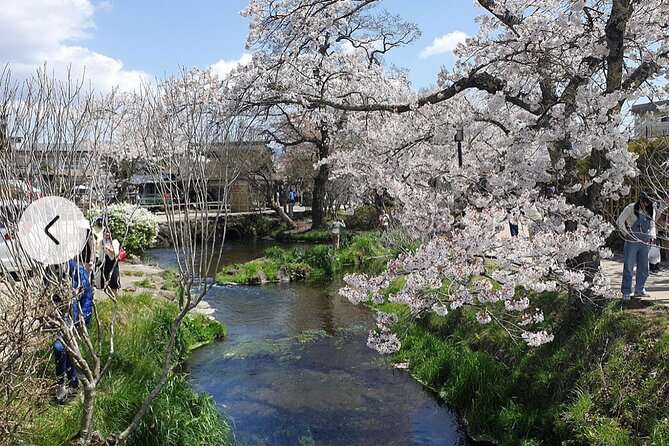 Mt. Fuji, Hakone Full-Day Private Tour With English Driver Guide - Tour Itinerary and Flexibility