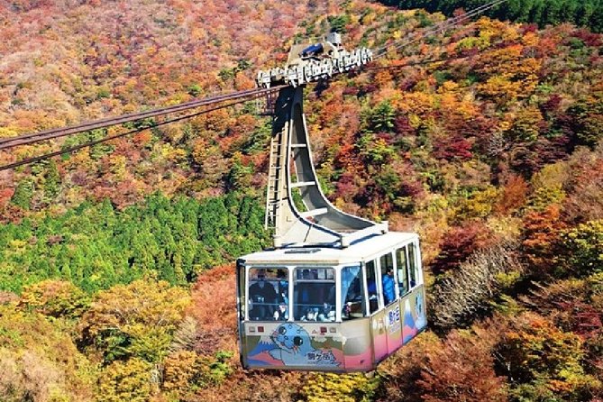 Mt Fuji, Hakone, Lake Ashi Cruise 1 Day Bus Trip From Tokyo - Tour Experience and Reviews