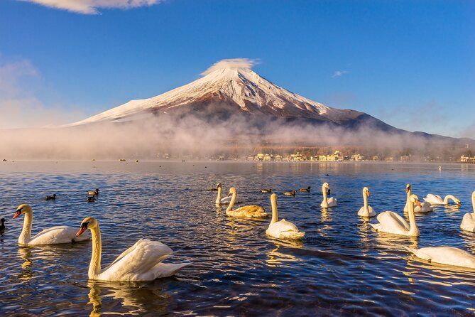 Mt. Fuji Private Full-Day Tour From Tokyo With Hotel Transfers  - Asakusa - Expert Guides and Transportation