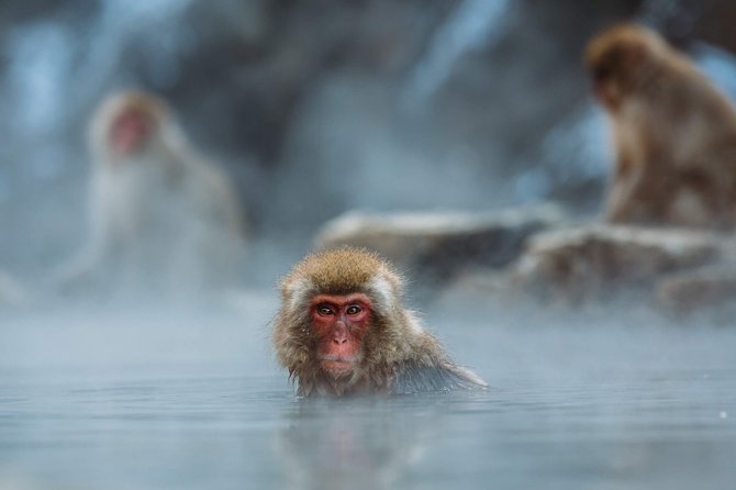 Nagano Private Two Day Tour - Exploring Naganos Hidden Gems