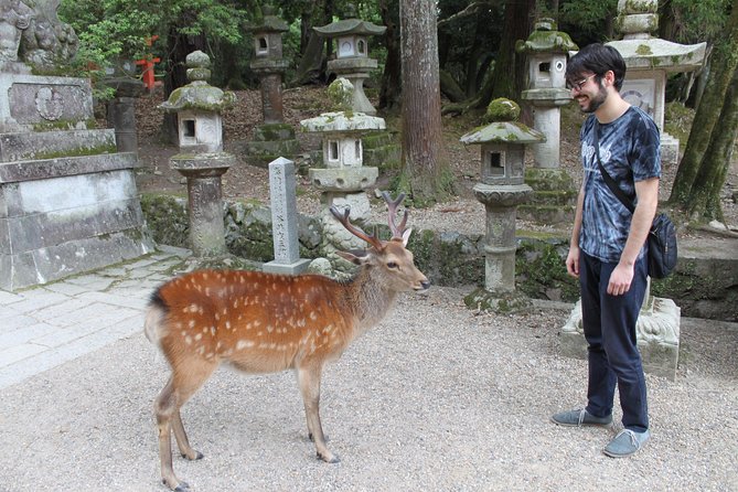 Nara - Highlights Bike Tour - Reviews and Ratings From Travelers