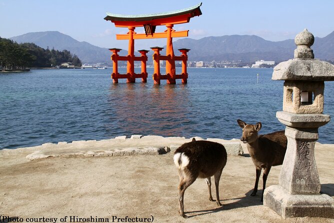 Osaka Departure - 1 Day Hiroshima & Miyajima Tour - What to Expect on the Tour