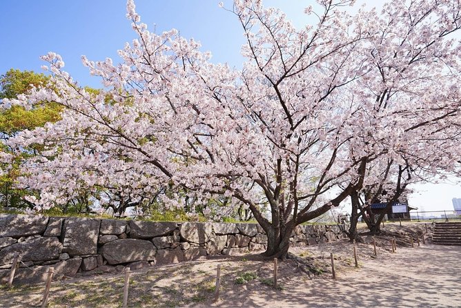 Private Fukuoka Tour With a Local, Highlights & Hidden Gems 100% Personalised - Authentic Local Experiences