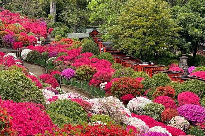 The Old Quarter of Tokyo - Yanaka Walking Tour - Meet Your Local Guide Mei