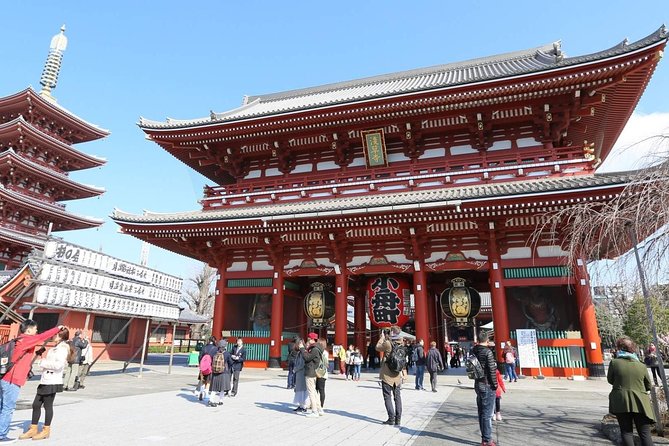 Tokyo Private Sightseeing Tour With English-Speaking Driver - Convenient Logistics and Amenities