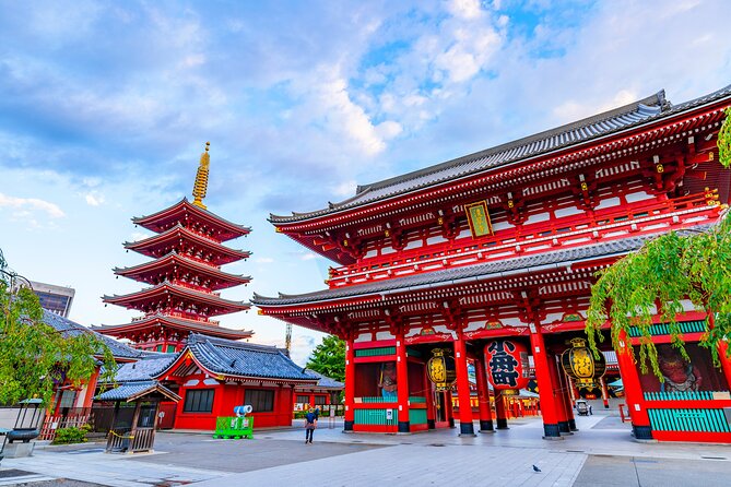 Tokyo Private Tour - Expert Guides and Comfortable Transport