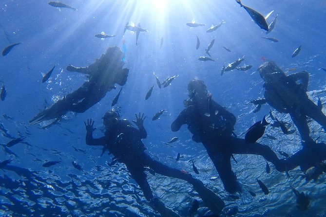 Two-Hour Group Snorkeling Trip to the Blue Cave  - Onna-son - Real Reviewer Experiences