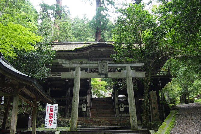 1 Day Hiking Tour in the Mountains of Kyoto - What to Expect From the Tour