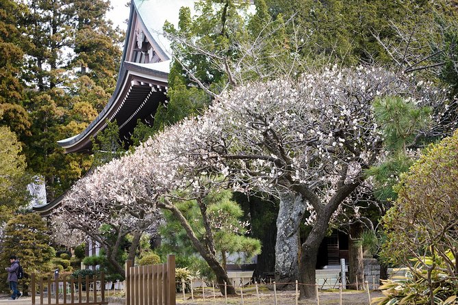 A Fun Day Out Discovering Kamakura - Traveler Experiences and Feedback