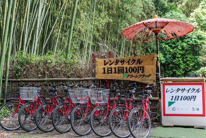 Arashiyama Bamboo Grove Day Trip From Kyoto With a Local: Private & Personalized - Pricing and Booking Details