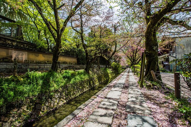 Early Bird E-Biking Through East Kyoto - Capturing Memories of Kyoto