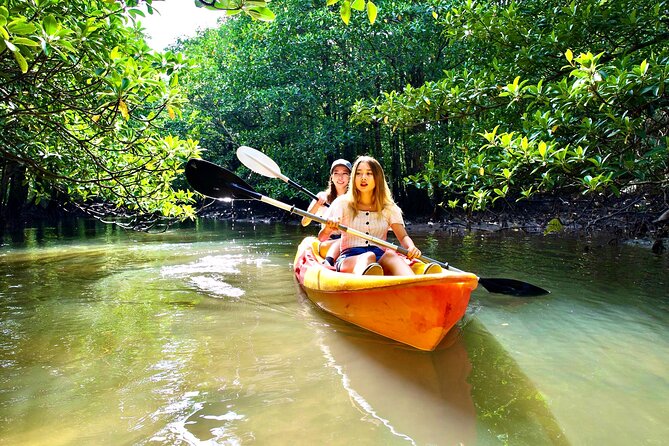 Iriomote Island Canoe/Sup Tour in a World Heritage Site - Important Information to Know