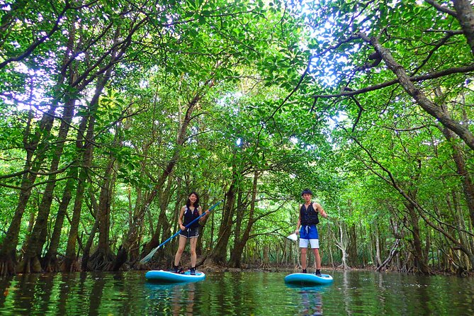 [Iriomote] SUP/Canoe Tour: Sightseeing on Yubujima Island - Important Policies and Reminders