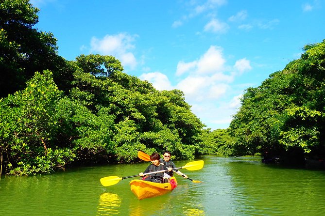 [Ishigaki] Mangrove Stand-Up Paddleboard/Canoe Blue Cave Snorkeling - Traveler Reviews and Photos