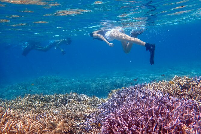 [Ishigaki] Snorkeling Tour at Phantom Island - Health and Accessibility Notes