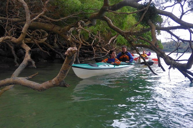 Kayak Mangroves or Coral Reef: Private Tour in North Okinawa - Cancellation and Refund Policy