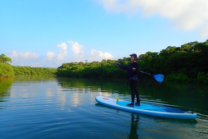 Miyara River 90-Minute Small-Group SUP or Canoe Tour  - Ishigaki - Tour Details and Logistics