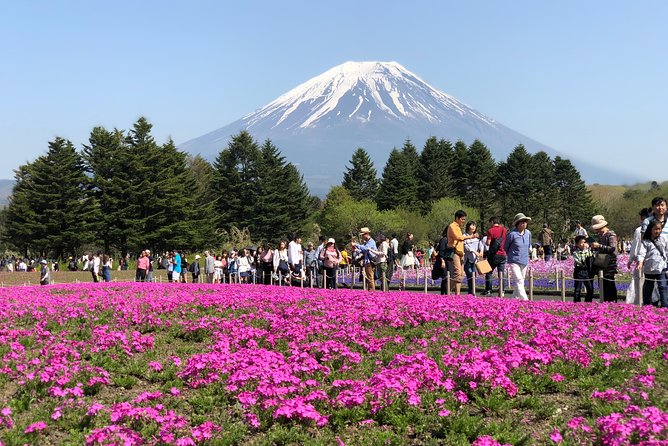 Mount Fuji Area Private Muslim–Friendly Tour From Tokyo - Tour Inclusions and Extras