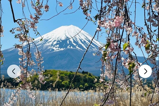 Mt. Fuji, Hakone Full-Day Private Tour With English Driver Guide - Company Response to Issues