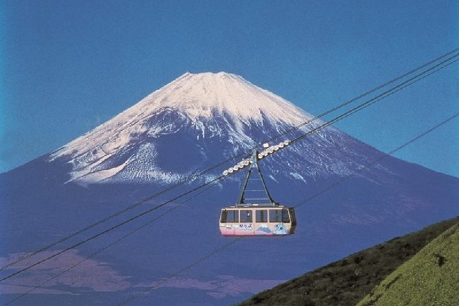 Mt Fuji, Hakone, Lake Ashi Cruise 1 Day Bus Trip From Tokyo - Company Information and Policies