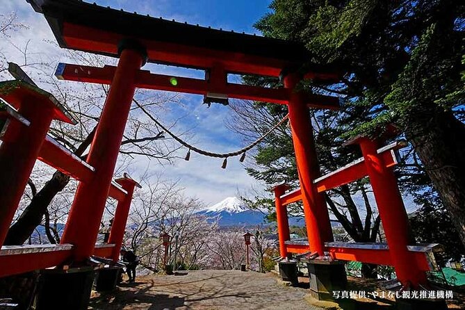 Mt. Fuji Highlights Full-Day Tour With Lunch From Tokyo - Tour Schedule and Logistics