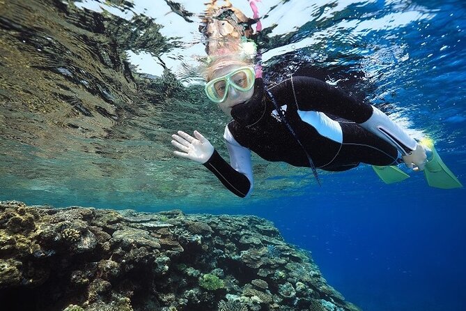 Naha: Full-Day Snorkeling Experience in the Kerama Islands, Okinawa - Marine Life and Scenic Views