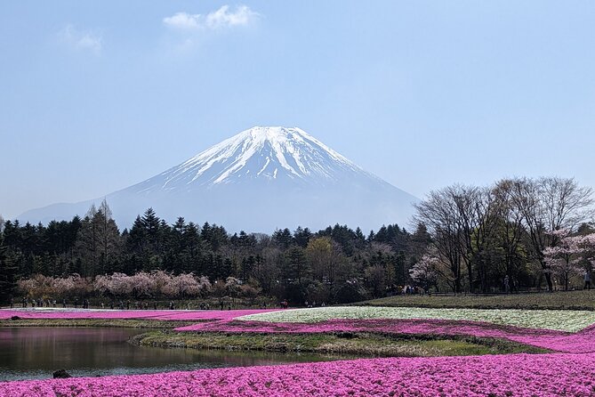 Private Car Mt Fuji and Gotemba Outlet in One Day From Tokyo - Tour Guide and Expertise