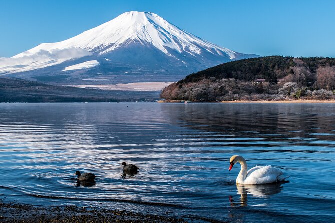 Private Mount Fuji Tour With English Speaking Chauffeur - Testimonials and Tour Highlights