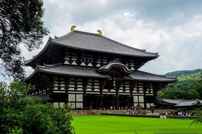 Private Tour Kyoto-Nara W/Hotel Pick up & Drop off From Kyoto - Tour Operator and Partners