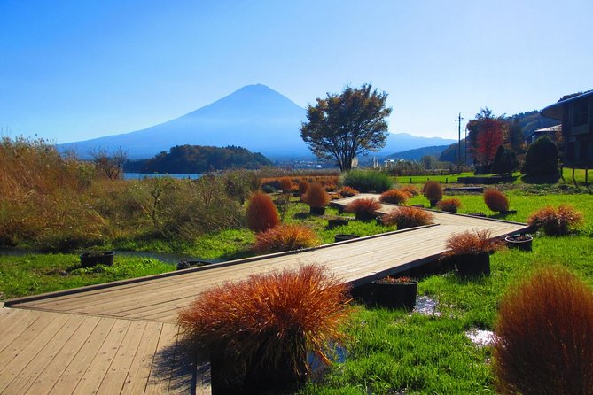 Scenic Spots of Mt Fuji and Lake Kawaguchi 1 Day Bus Tour - Tour Experience and Insights