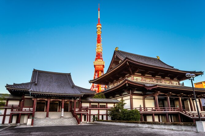 Tokyo Private Tour - Personalized Tour Experience Guaranteed