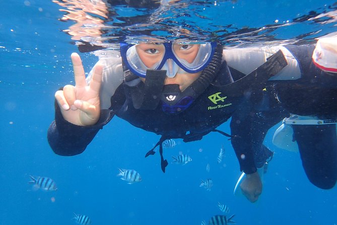 Two-Hour Group Snorkeling Trip to the Blue Cave  - Onna-son - Expert Guides and Operations