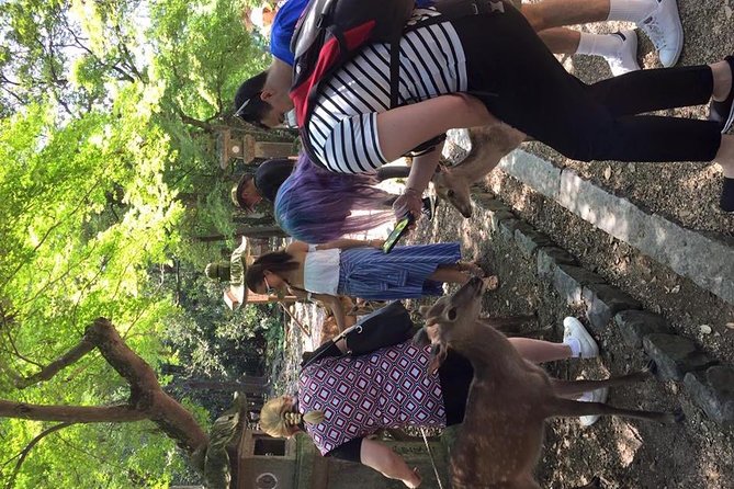 All Must-Sees in 3 Hours - Nara Park Classic Tour! From JR Nara! - Nara Park Classic Tour Essentials