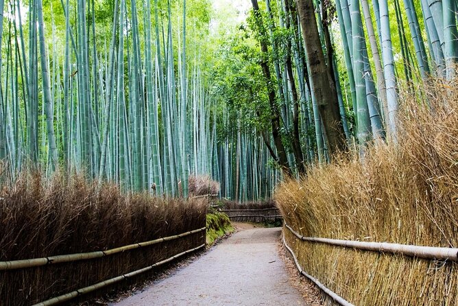 Arashiyama Bamboo Grove Day Trip From Kyoto With a Local: Private & Personalized - Preparing for Your Adventure