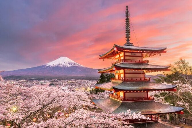 Full Day Private Tour To Mount Fuji Assisted By English Chauffeur - What to Expect on This Tour