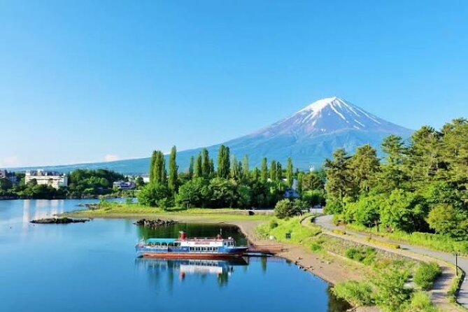 Full Day Private Tour With English Speaking Driver in Mount Fuji - Private Vehicle and Driver Benefits