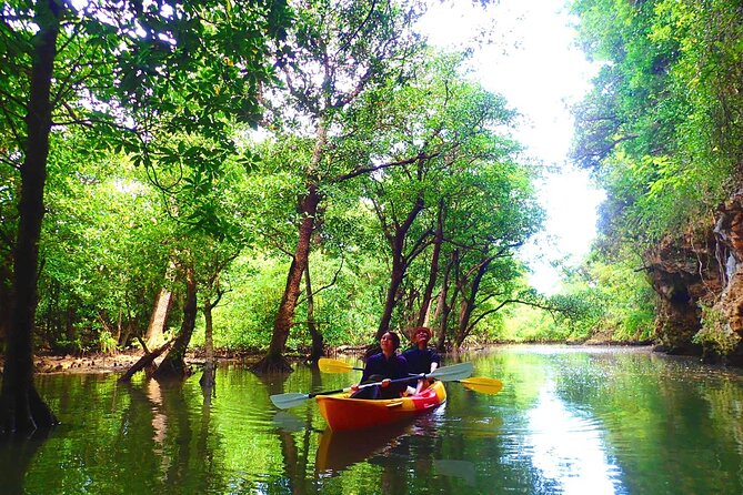 [Ishigaki] Mangrove Stand-Up Paddleboard/Canoe Blue Cave Snorkeling - Mangrove Paddleboard and Snorkeling