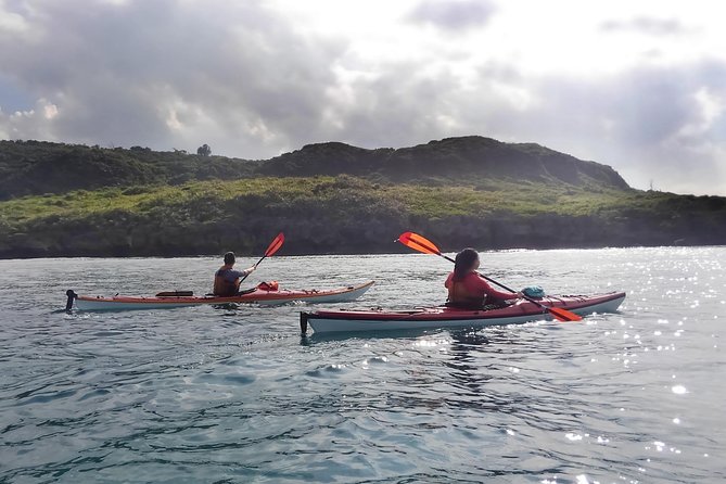 Kayak Mangroves or Coral Reef: Private Tour in North Okinawa - Planning Your Kayak Adventure