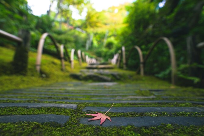 Kyoto Arashiyama Bamboo Forest & Garden Half-Day Walking Tour - What to Expect on the Tour